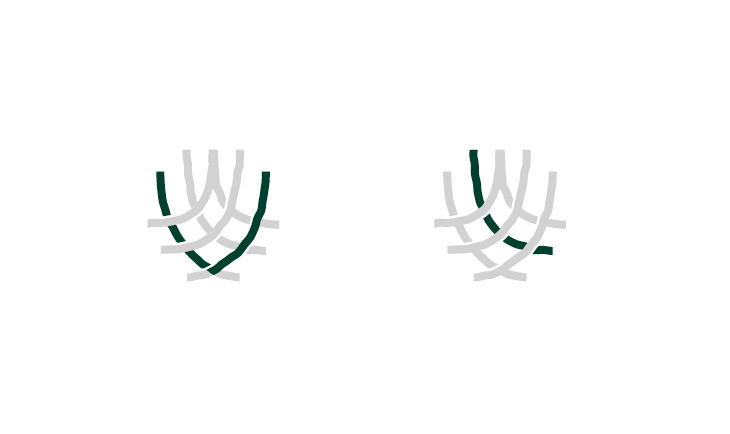 V + L logo detail